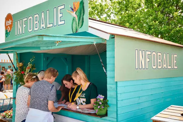 Mbo-studenten Marketing en Events werken op een zonnig event in de infobalie